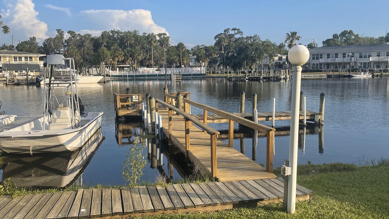 Photo of Others in Homosassa