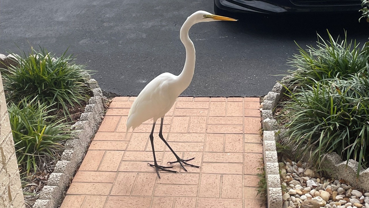 Photo of Outdoor in Safety Harbor