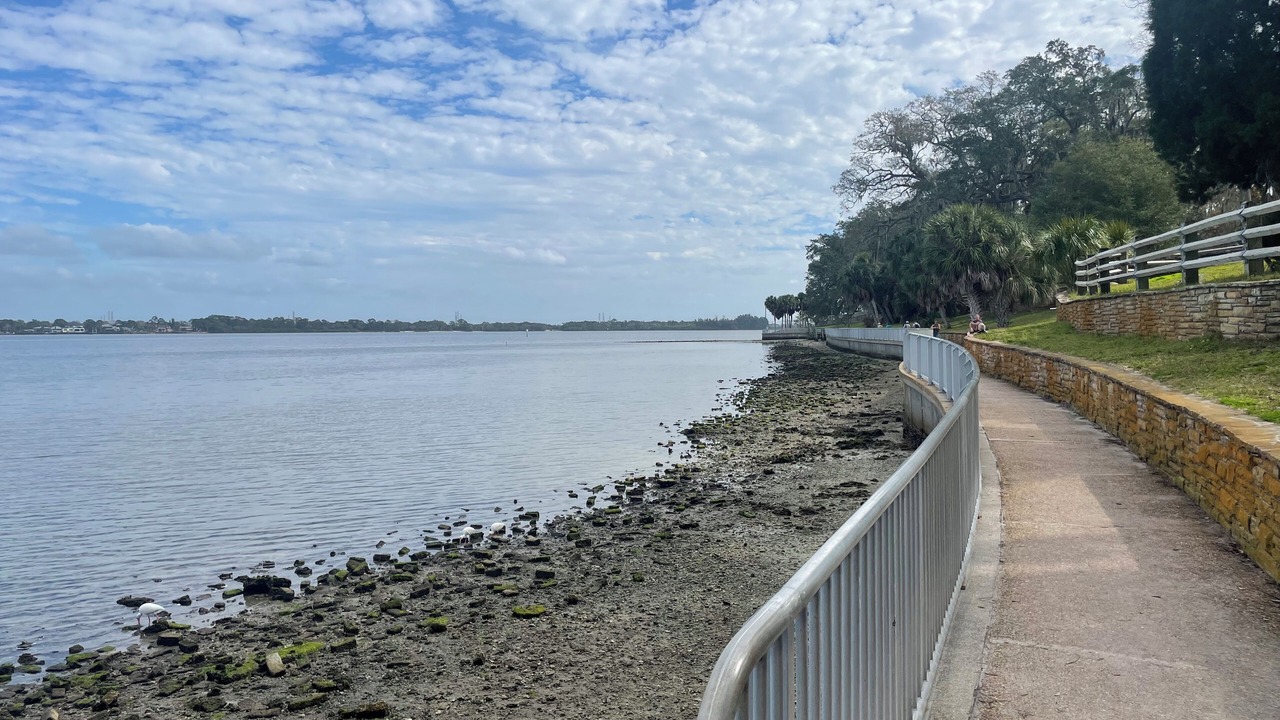 Photo of Others in Safety Harbor