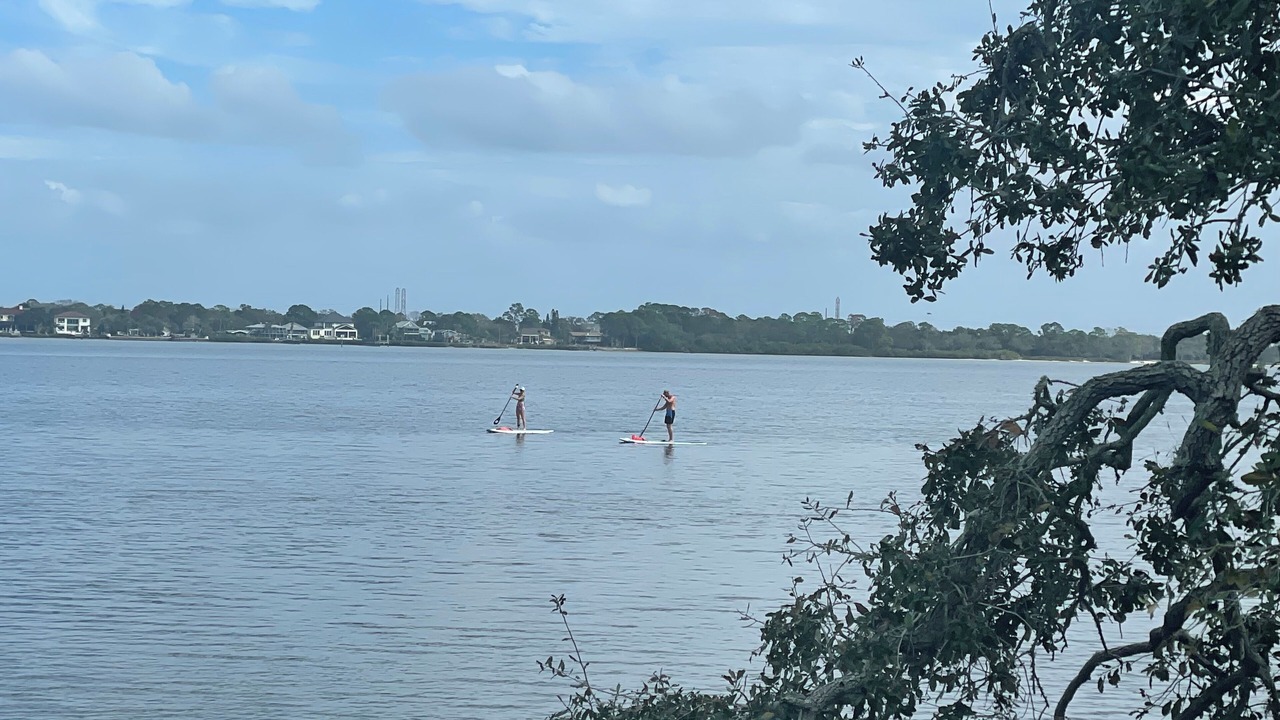Photo of Others in Safety Harbor