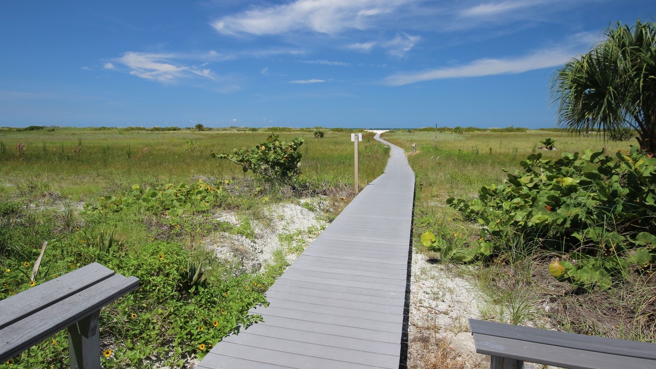 Photo of Others in Sand Key