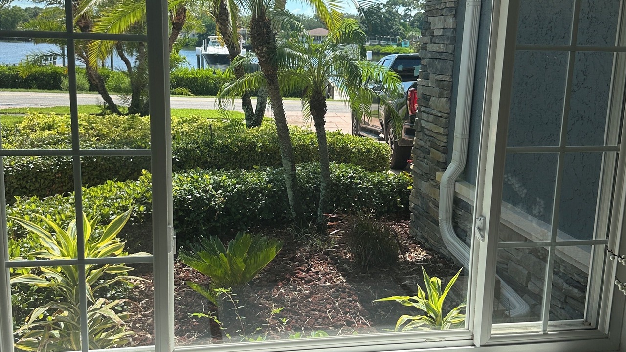 Photo of Others in Tarpon Springs