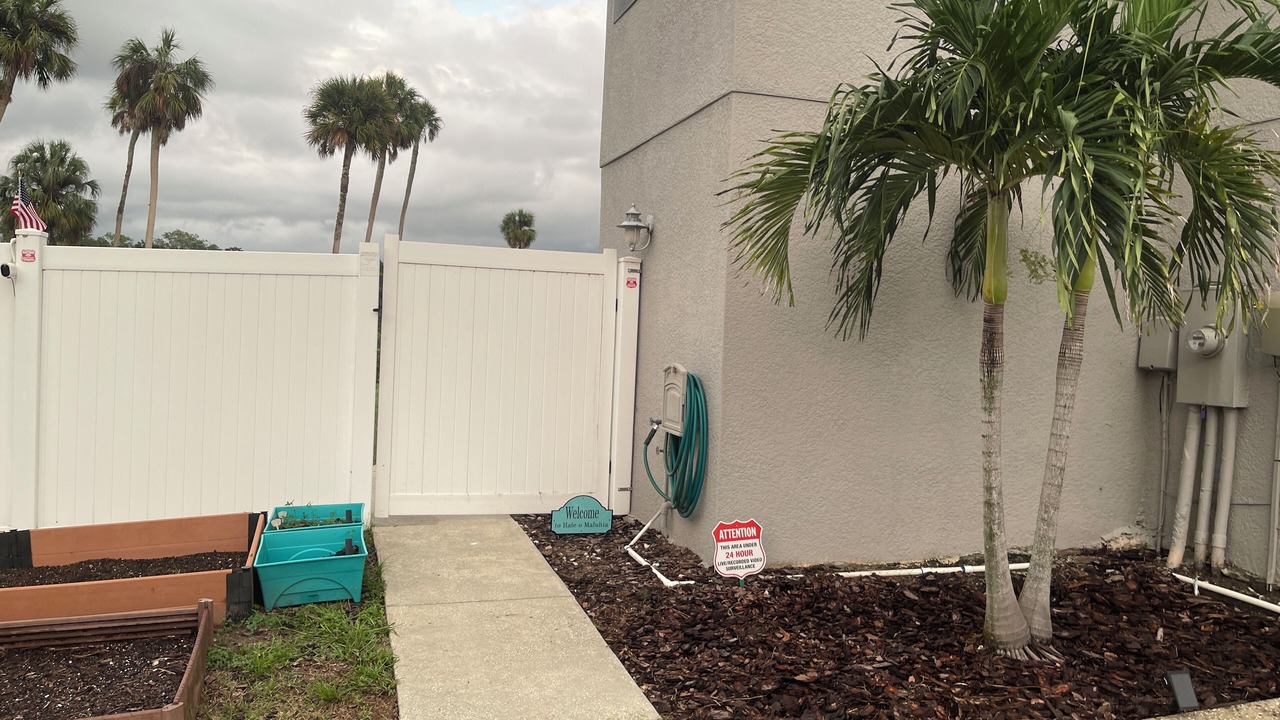 Photo of Outdoor in New Port Richey