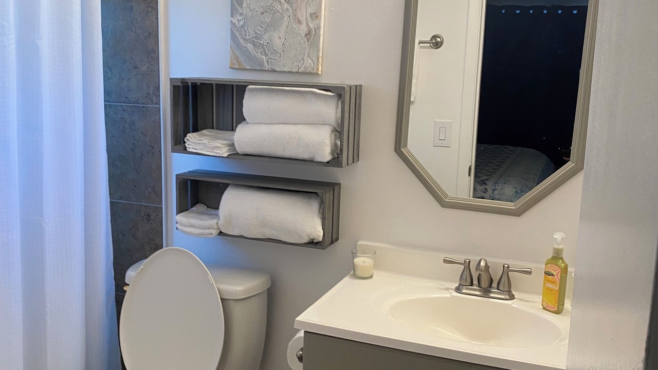 Photo of Bathroom in Winter Woods