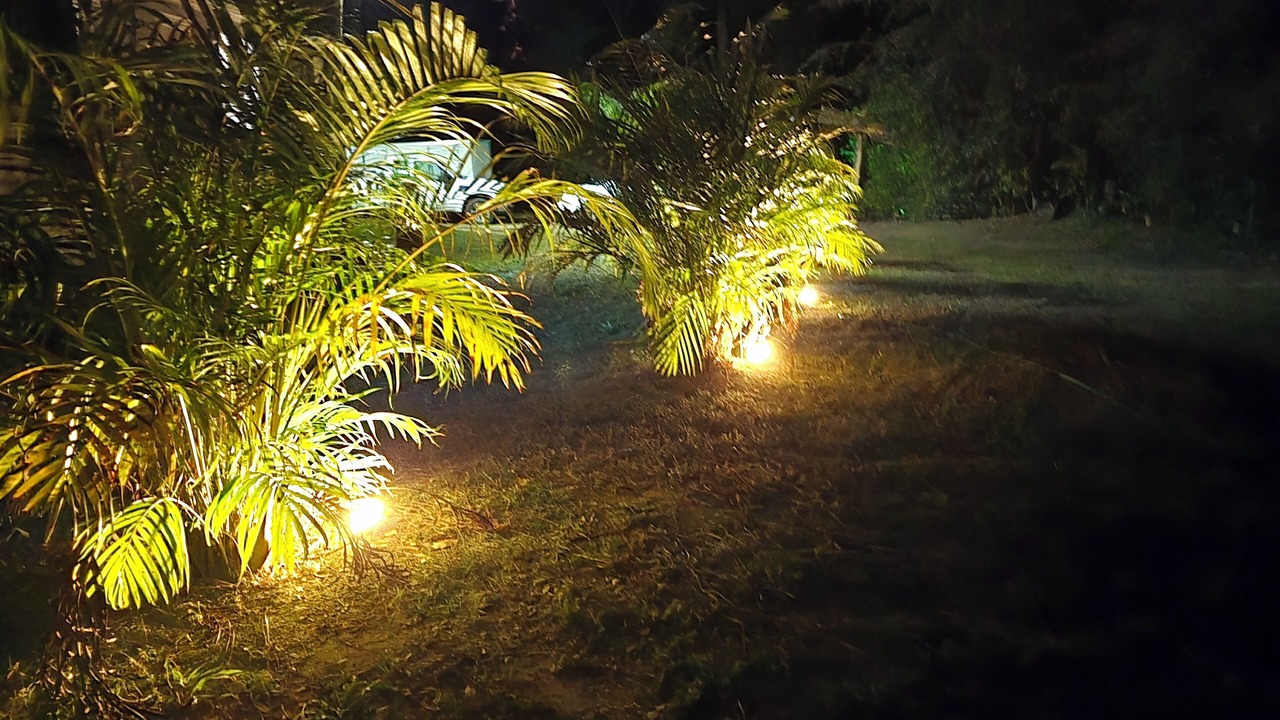 Photo of Outdoor in Fellowship