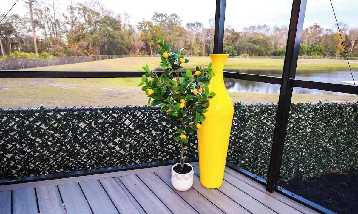 Photo of Outdoor in Orlando