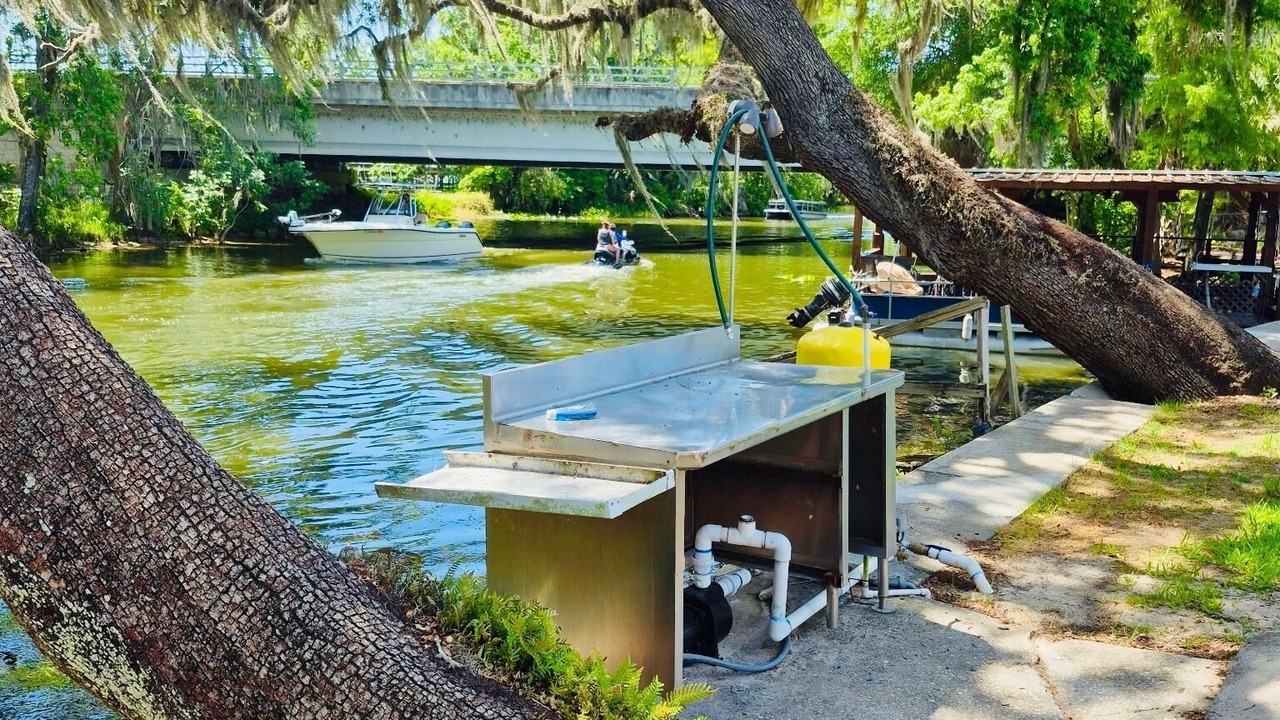 Photo of Outdoor in Tavares