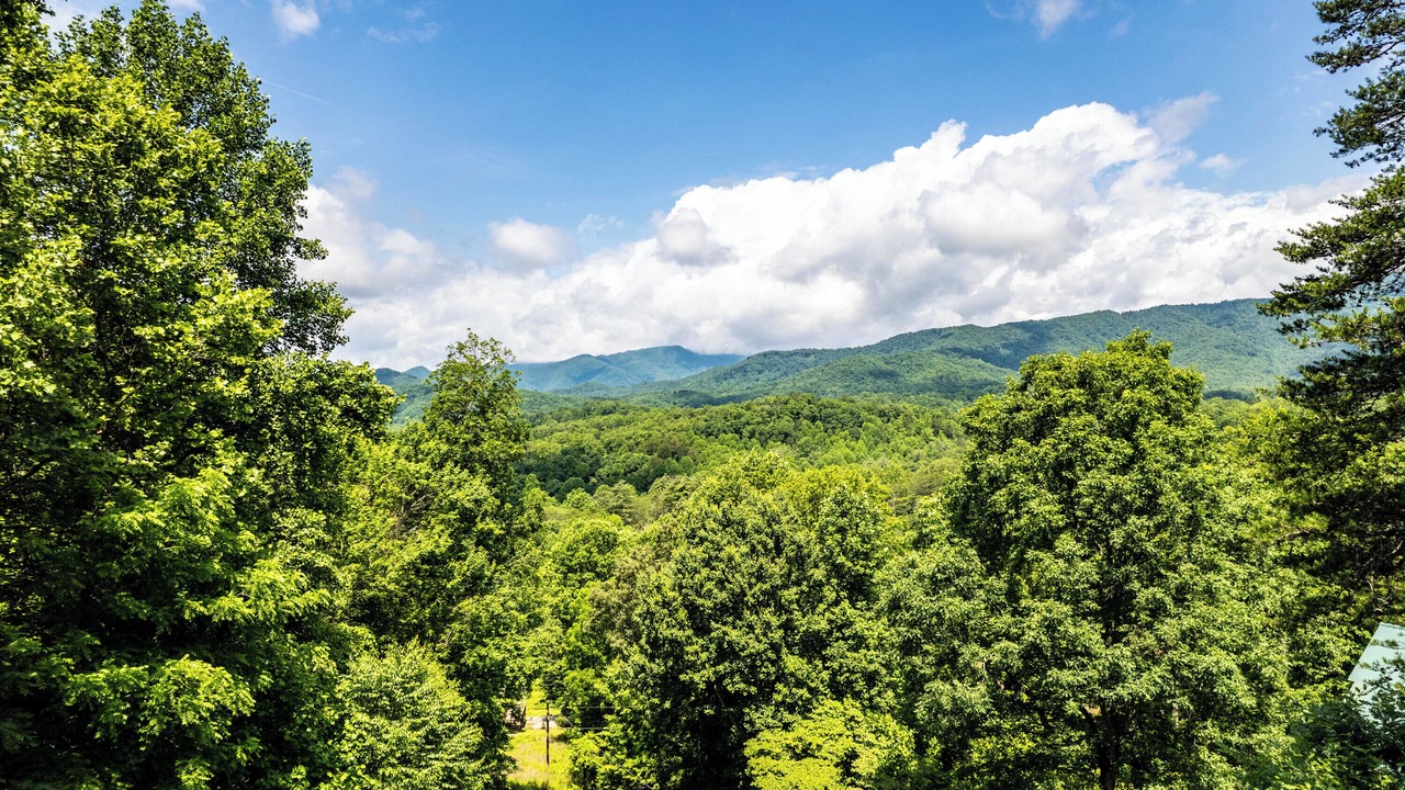 Photo of Others in Cherokee