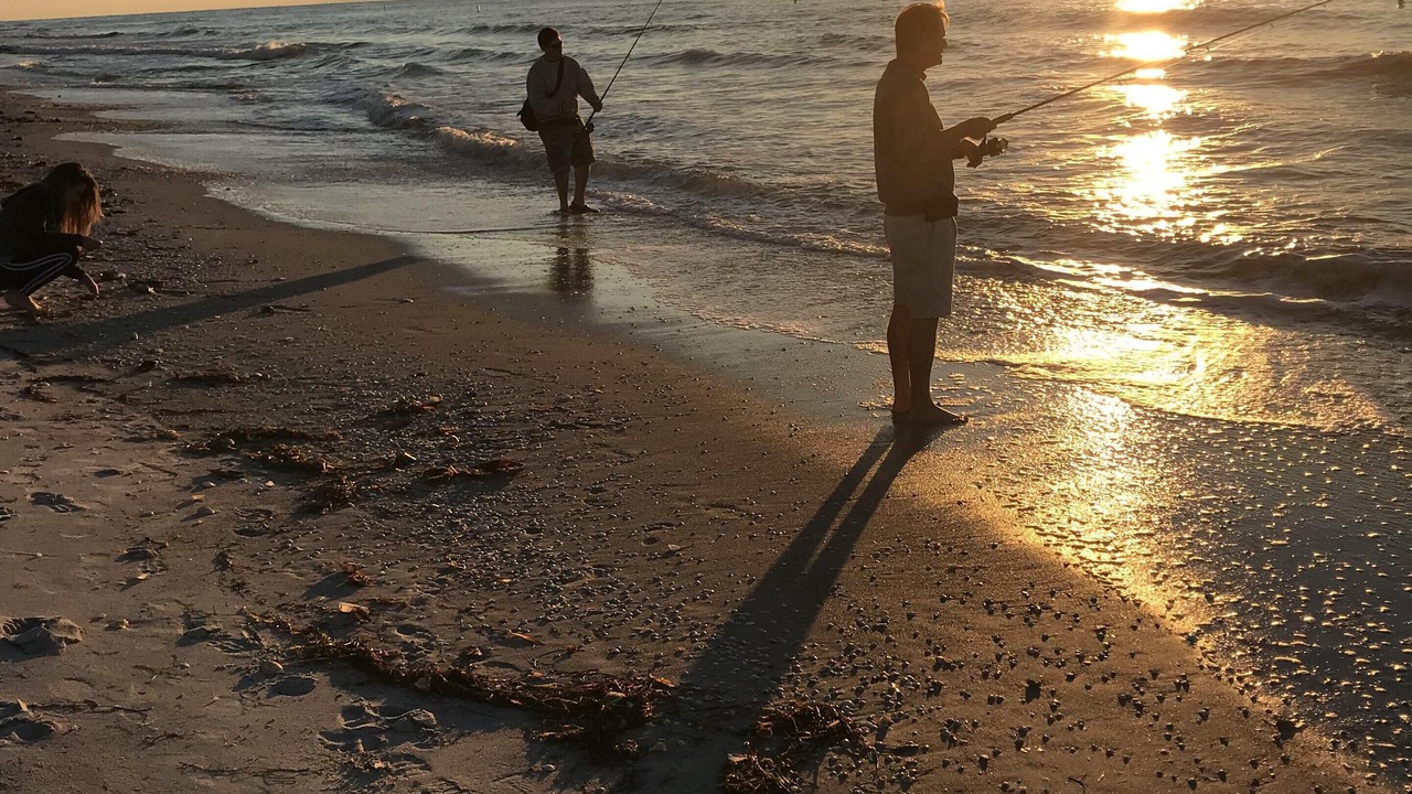 Photo of Others in Sand Key