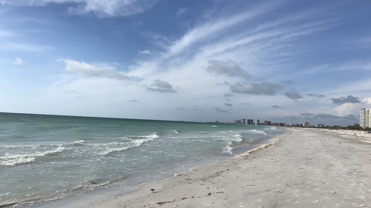 Photo of Others in Sand Key