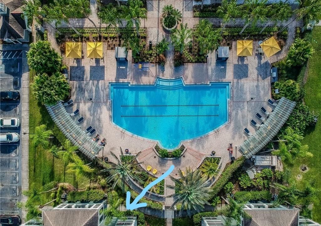 Photo of Outdoor in Tampa