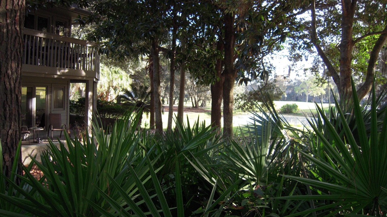 Photo of Others in Palmetto Dunes