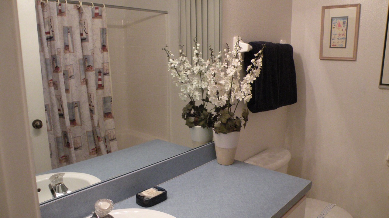 Photo of Bathroom in Davenport