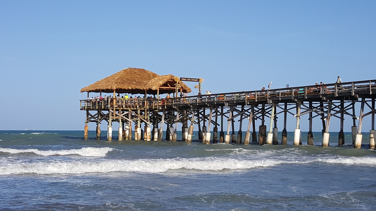 Photo of Others in Port Canaveral
