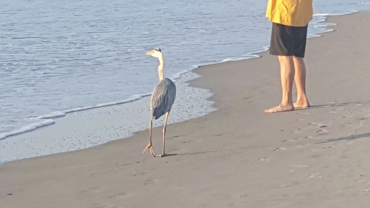 Photo of Others in Port Canaveral