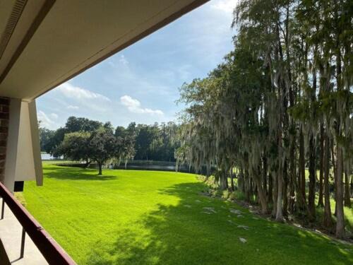 Photo of Others in Palm Harbor