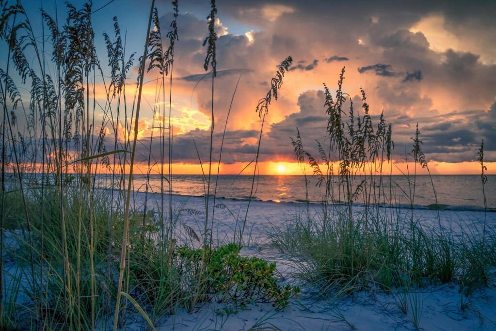 Photo of Others in St. Augustine