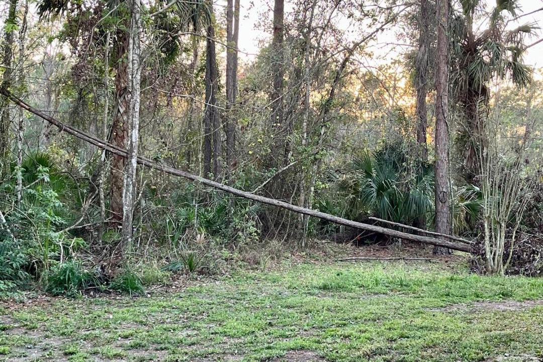 Photo of Others in Palm Coast