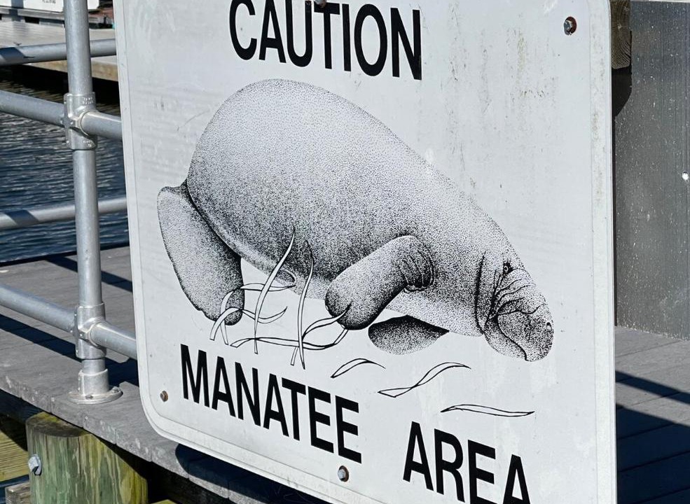 Photo of Others in Lecanto