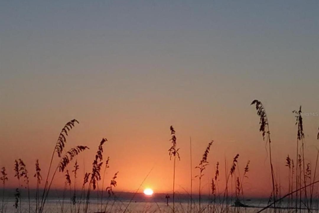 Photo of Others in Madeira Beach