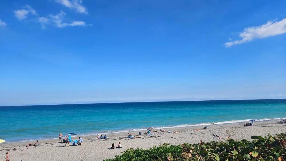 Photo of Others in Indian Shores