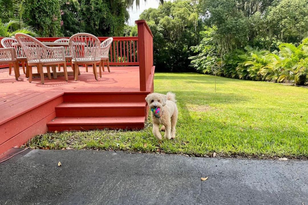 Photo of Others in Mount Dora