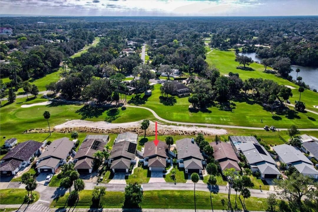 Photo of Others in Palm Harbor