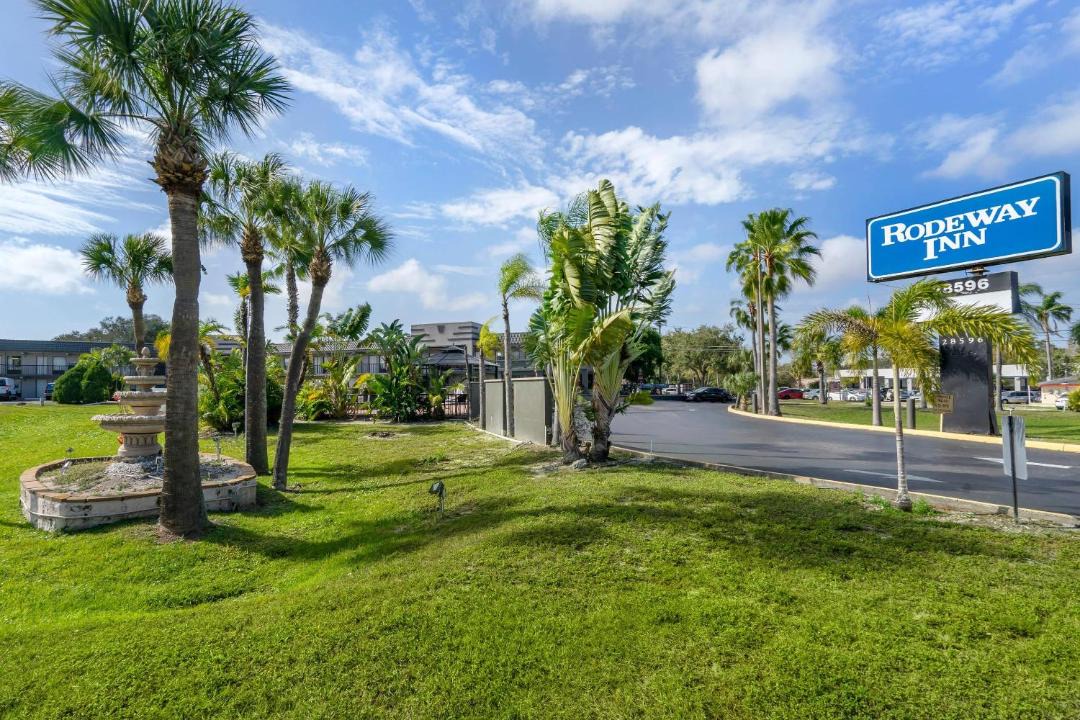 Photo of Others in Clearwater