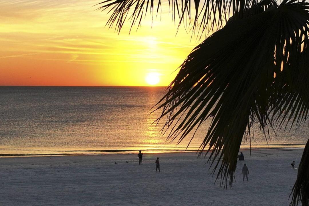 Photo of Others in Madeira Beach