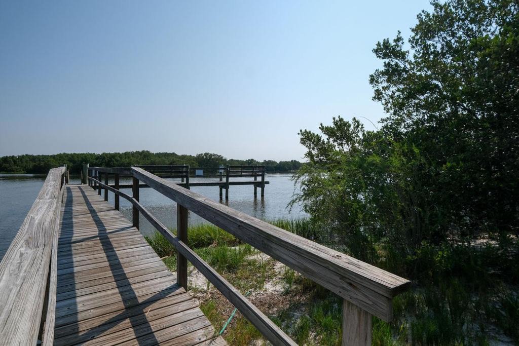 Photo of Others in Cedar Key