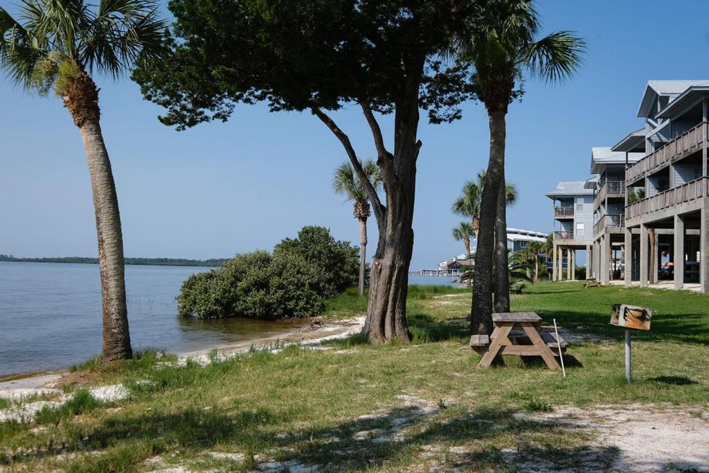 Photo of Others in Cedar Key