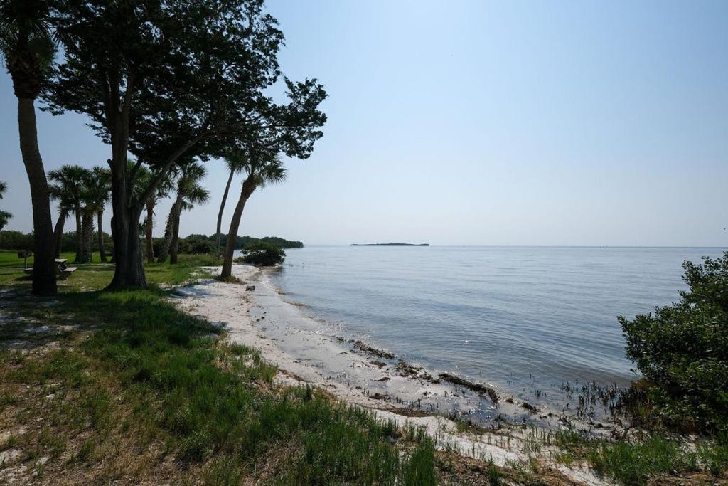 Photo of Others in Cedar Key