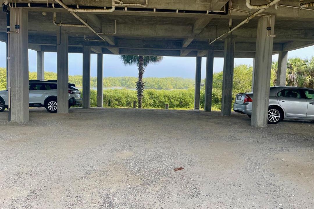 Photo of Others in Cedar Key