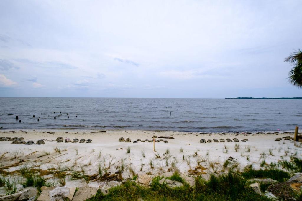 Photo of Others in Cedar Key