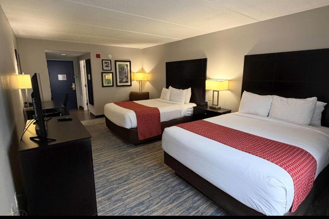 Photo of Bedroom in New Tampa