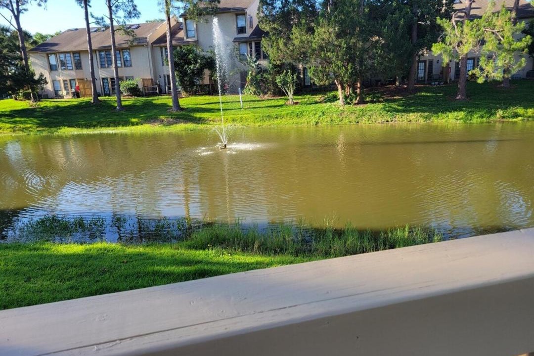 Photo of Others in Southwest Orlando