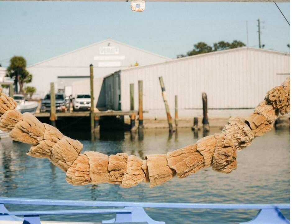 Photo of Others in Tarpon Springs