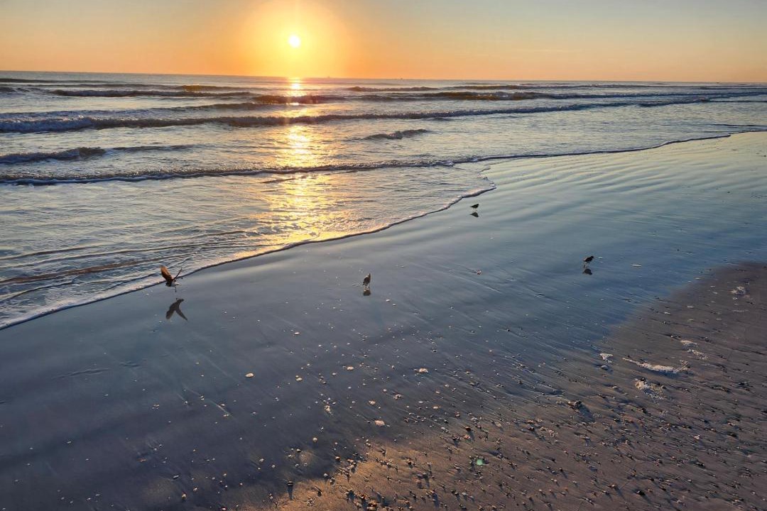 Photo of Others in Butler Beach