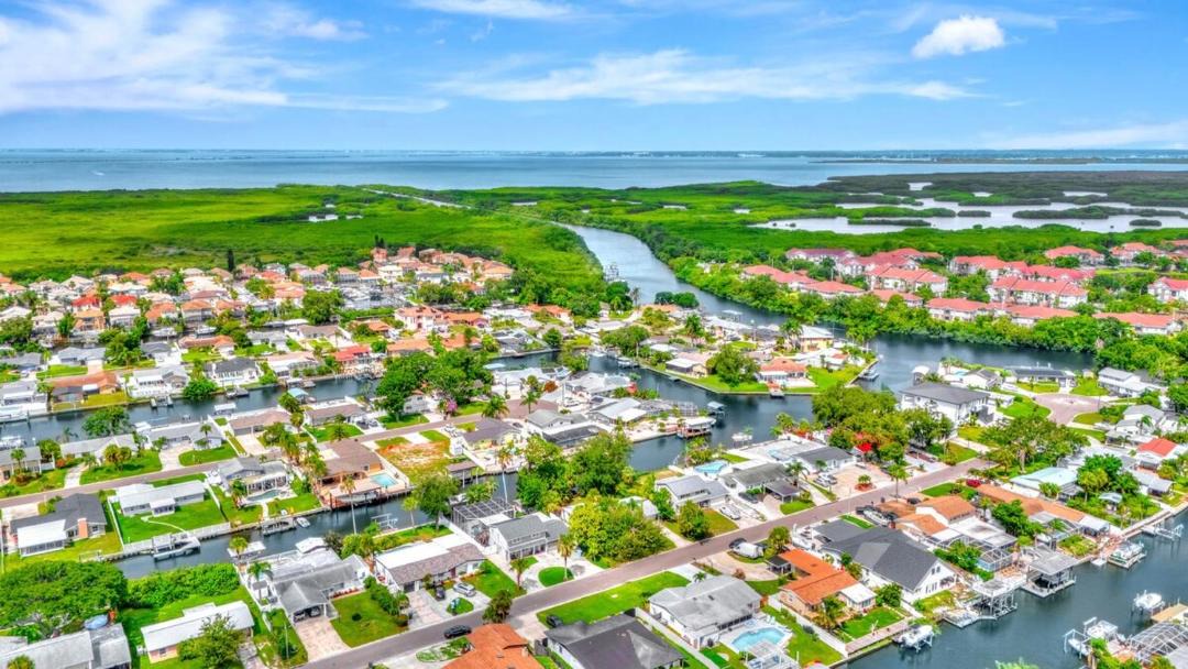 Photo of Others in Tampa Shores