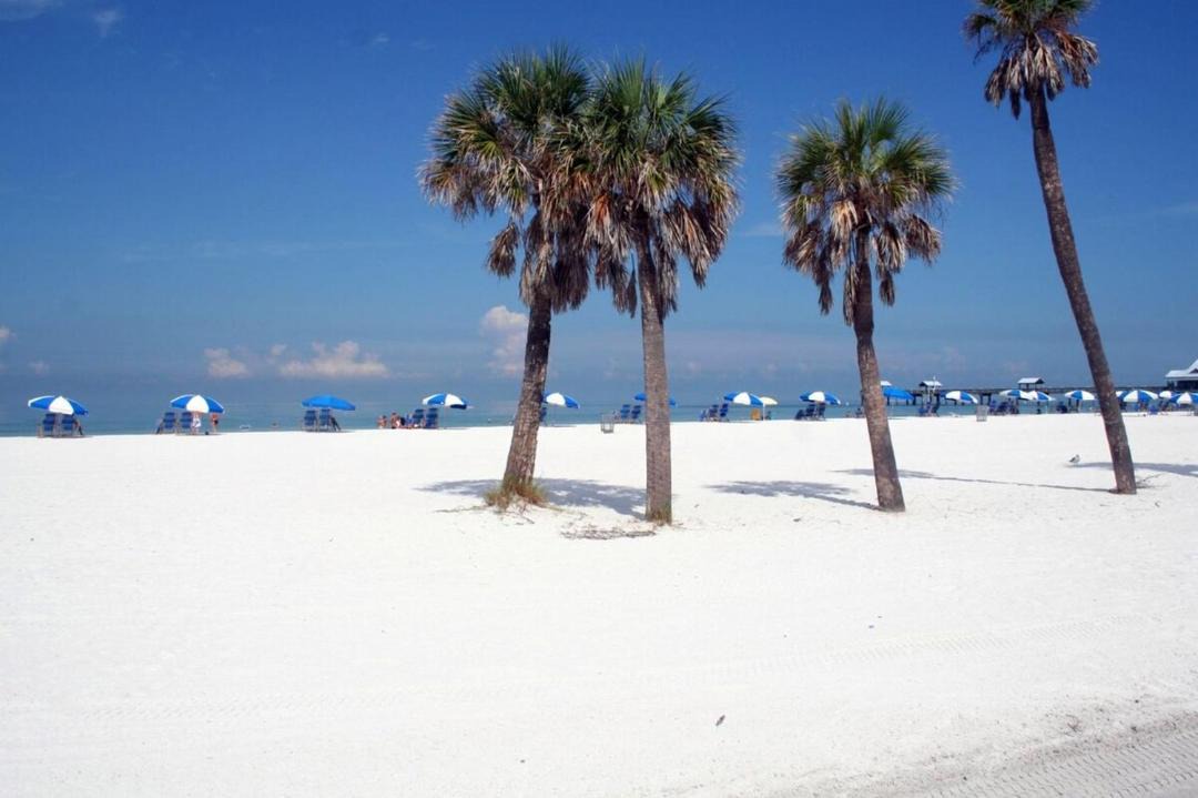 Photo of Others in Largo
