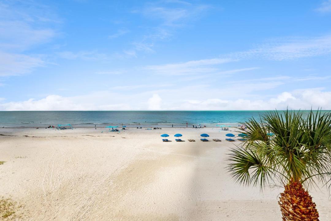Photo of Others in Indian Shores