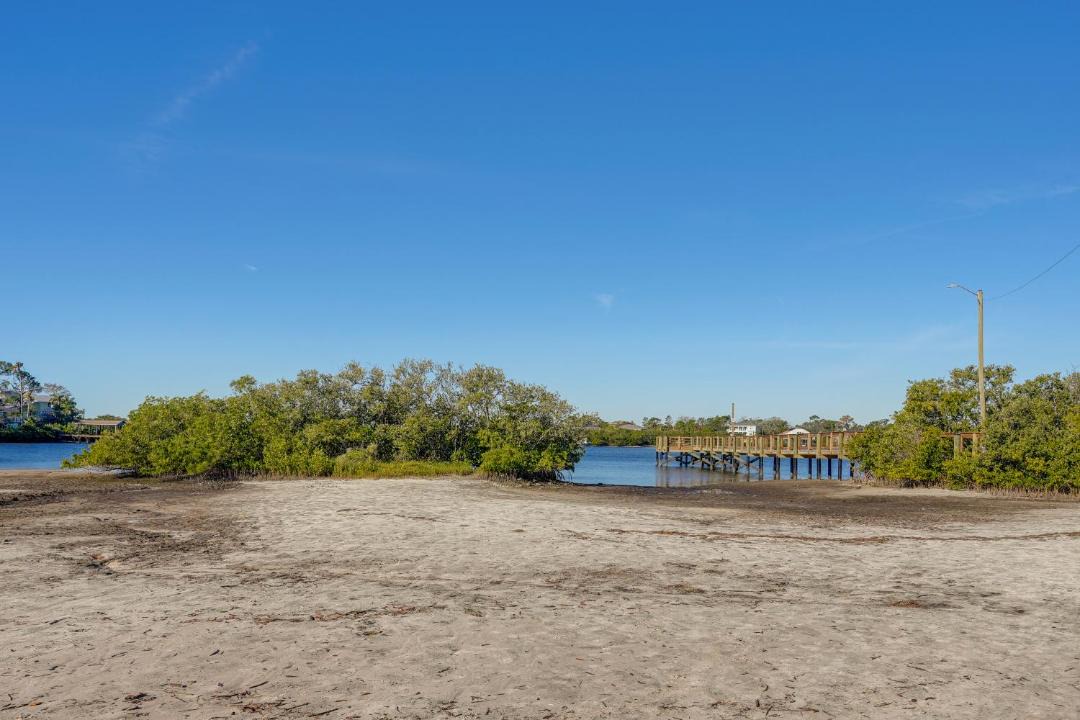 Photo of Others in Palm Harbor