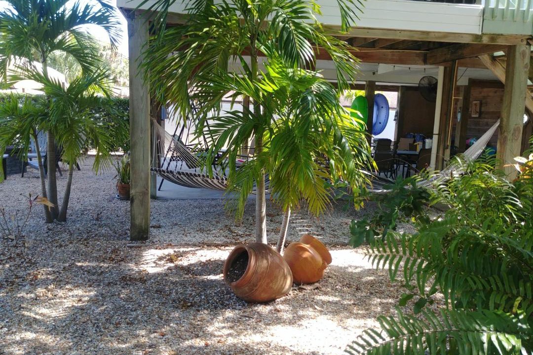 Photo of Others in Indian Rocks Beach