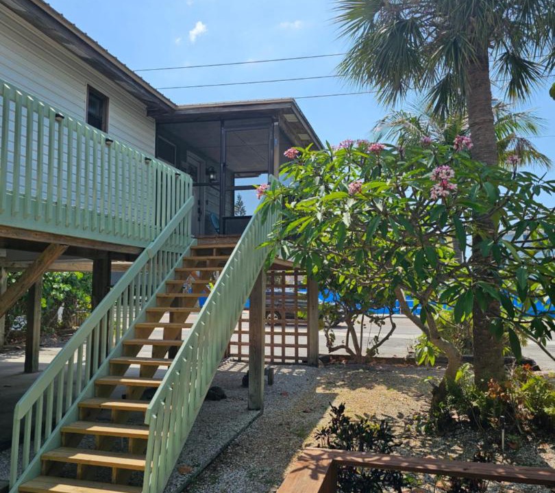 Photo of Others in Indian Rocks Beach
