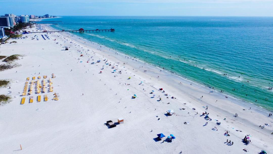 Photo of Others in Clearwater Beach
