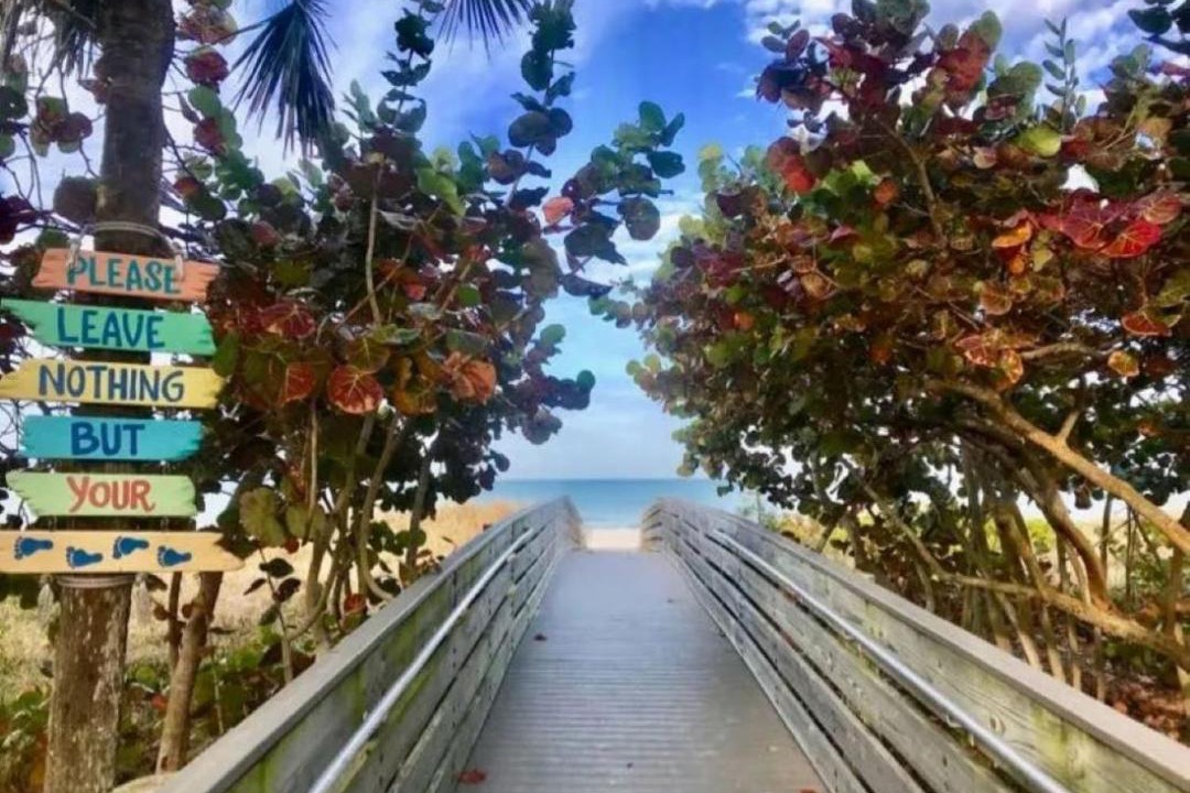 Photo of Others in Indian Rocks Beach