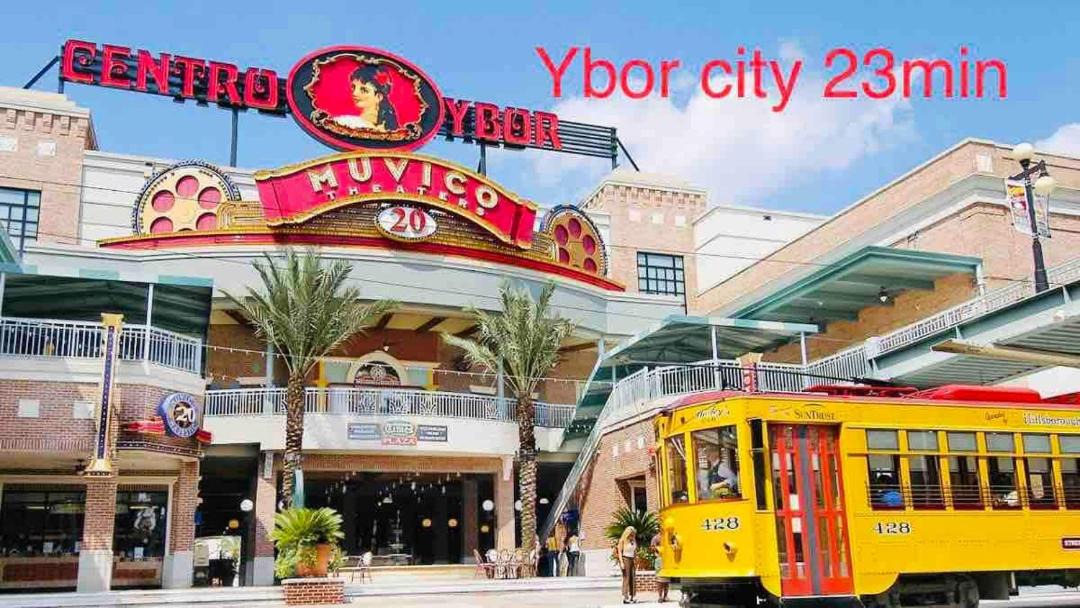 Photo of Others in Tampa