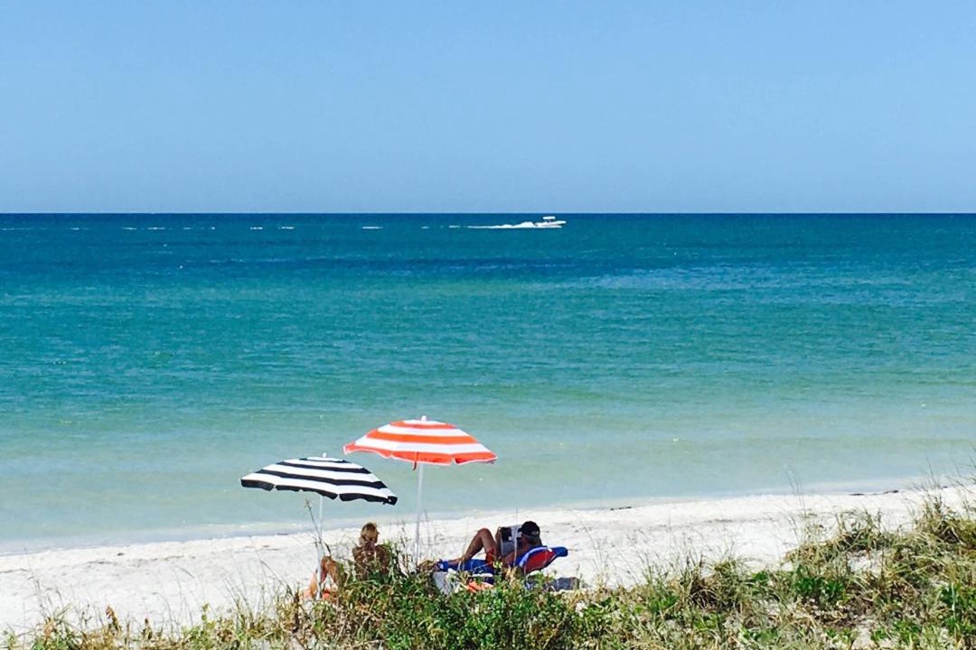 Photo of Others in Indian Rocks Beach
