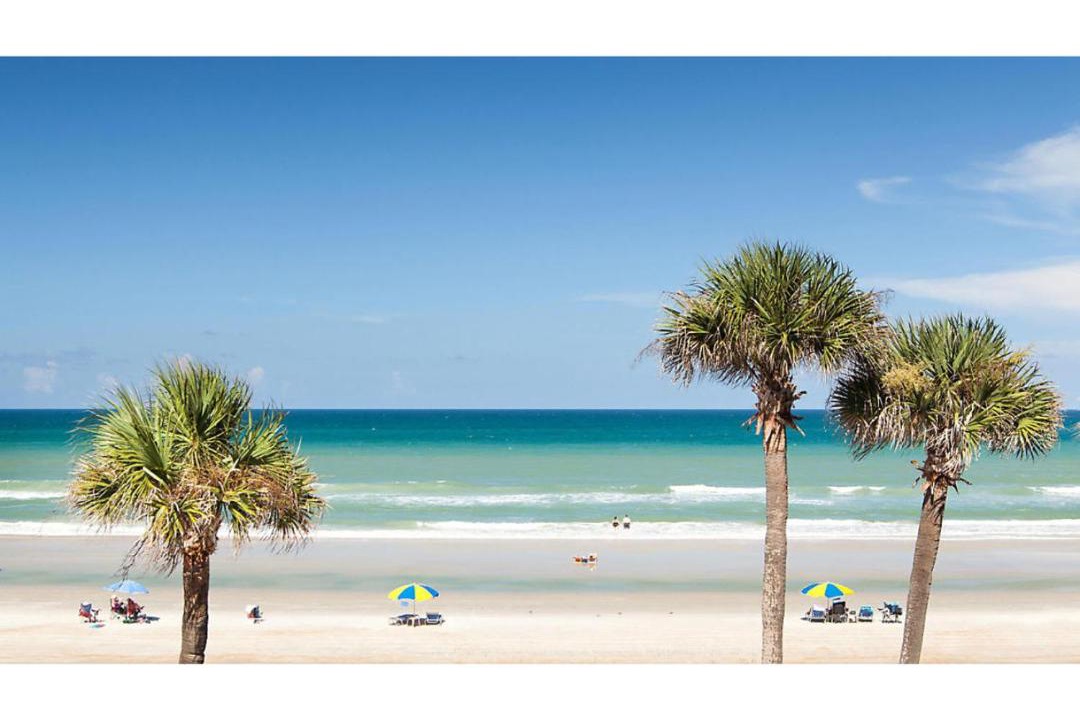 Photo of Others in Daytona Beach Shores