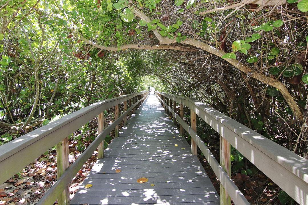 Photo of Others in Treasure Island